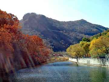 天天彩好彩天天免费，营山关键词优化